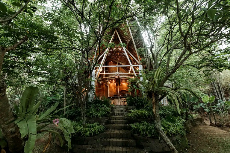 Bali getaways secluded in trees.