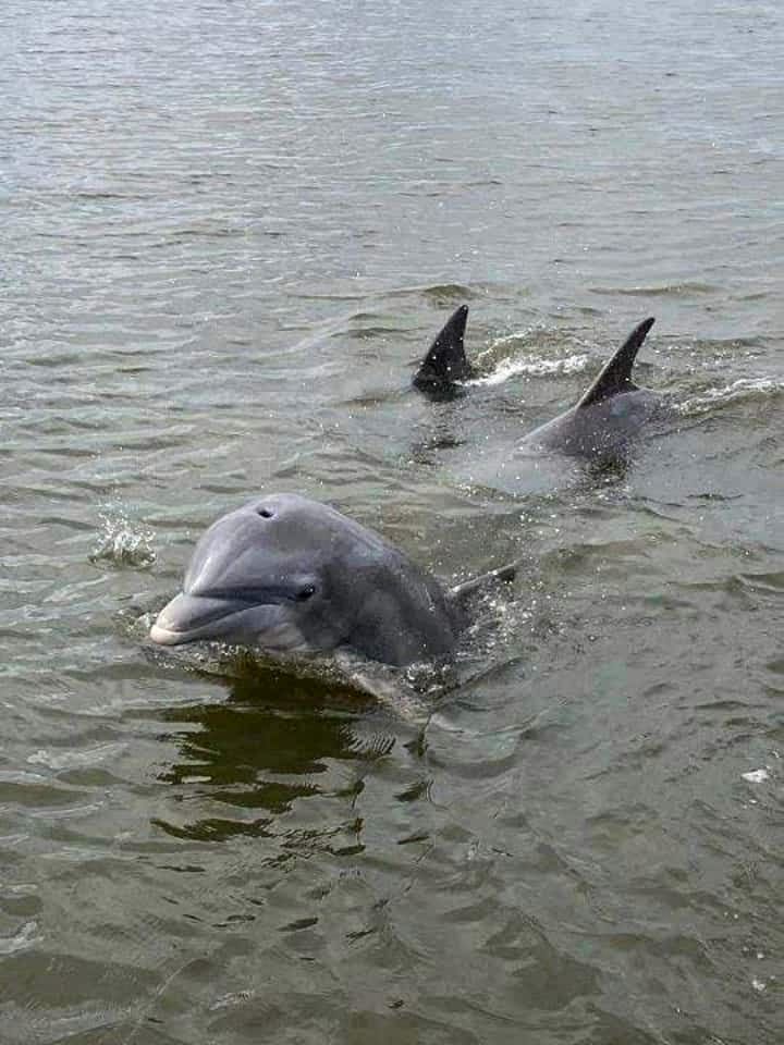 The Unforgettable La Sirata and Casita Together