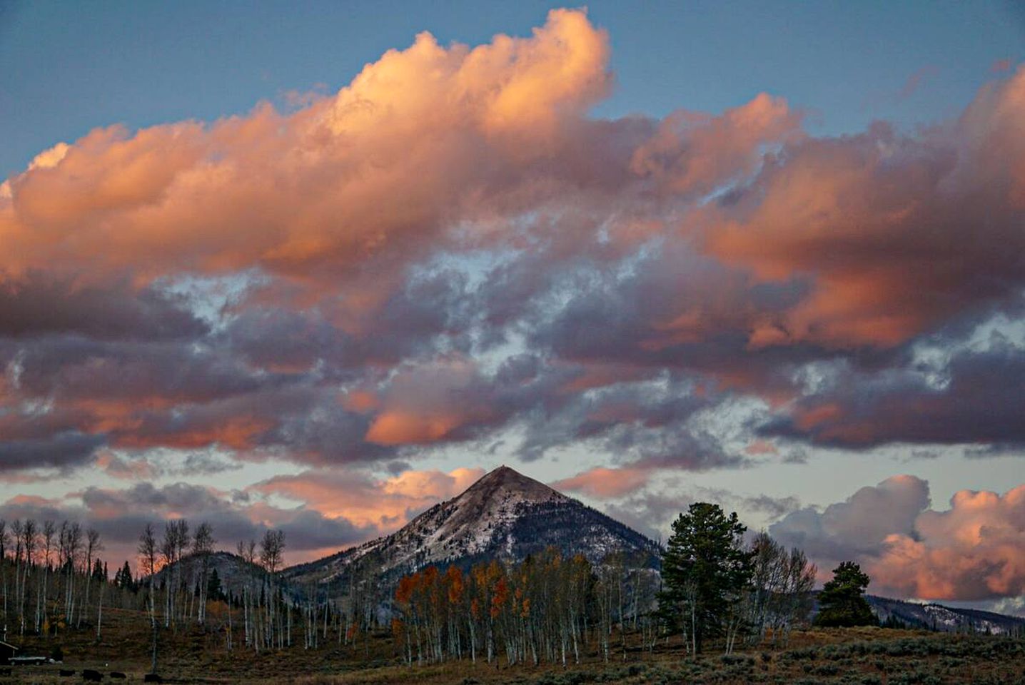 Room in a Pet-Friendly Cabin Rental Perfect for Glamping in Colorado