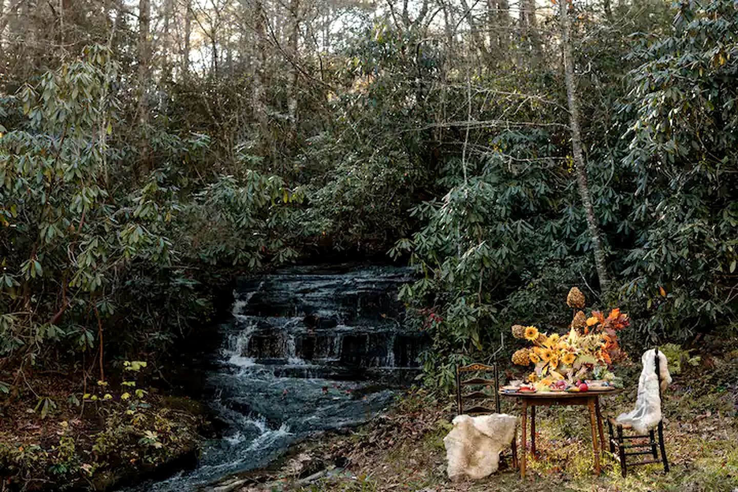 Luxury Cabin on Private Pond near Flat Mountain, NC