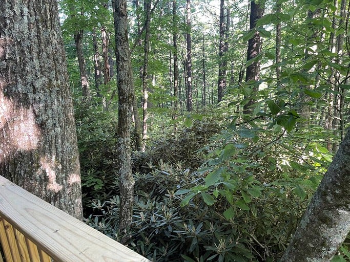 Tree Houses (Boone, North Carolina, United States of America)