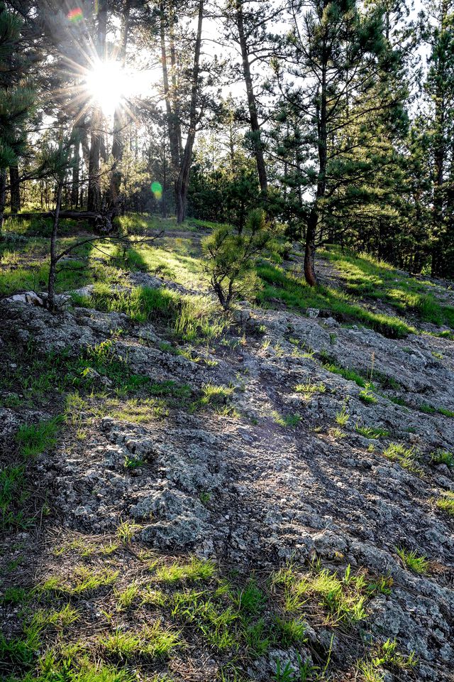 Charming Black Hills Vacation Rental for a South Dakota Getaway