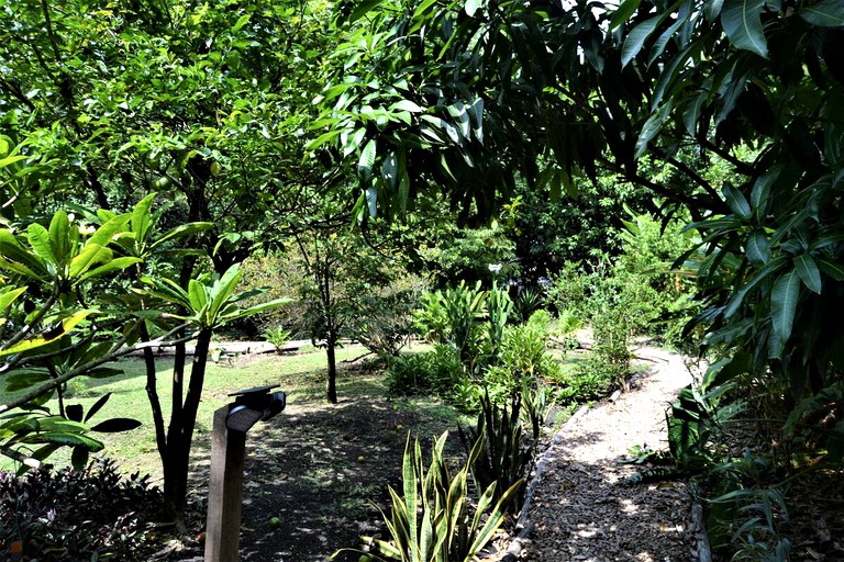 Tree Houses (San Ignacio, Cayo District, Belize)