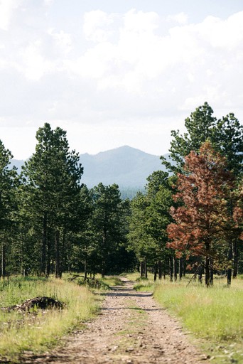 Cabins (Custer, South Dakota, United States of America)