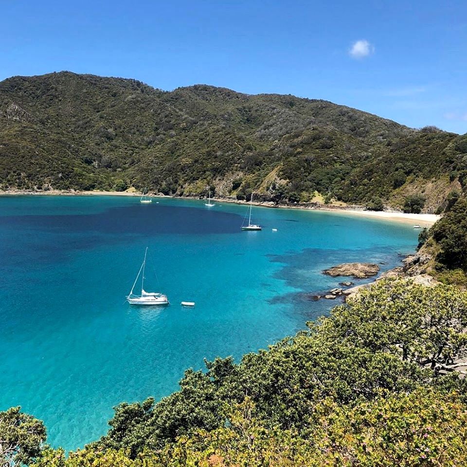 Stunning Luxury Beach House in Oke Bay for Amazing Family Holidays on the North Island