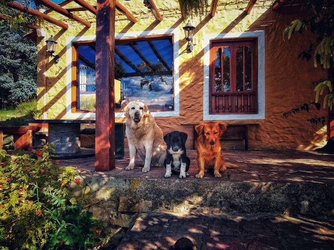 Tiny Houses (Nemocon, Cundinamarca, Colombia)