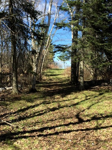Cabins (Tower, Minnesota, United States of America)