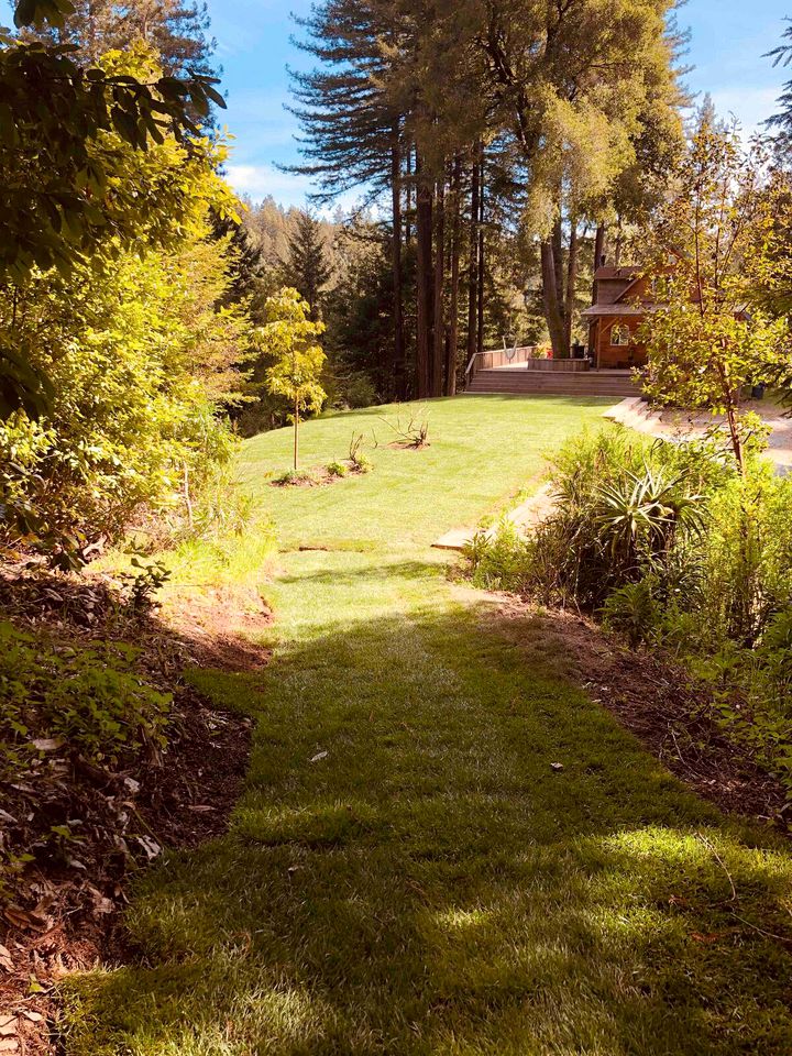 Charming Cabin Rental with a Hot Tub Ideal for a Weekend Getaway from San Francisco