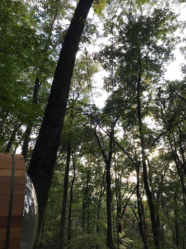 Tree Houses (Wildwood, Georgia, United States of America)