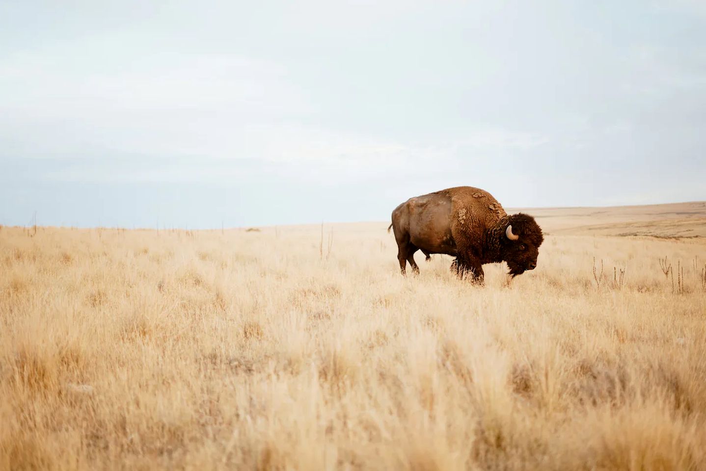 Charming Black Hills Vacation Rental for a South Dakota Getaway