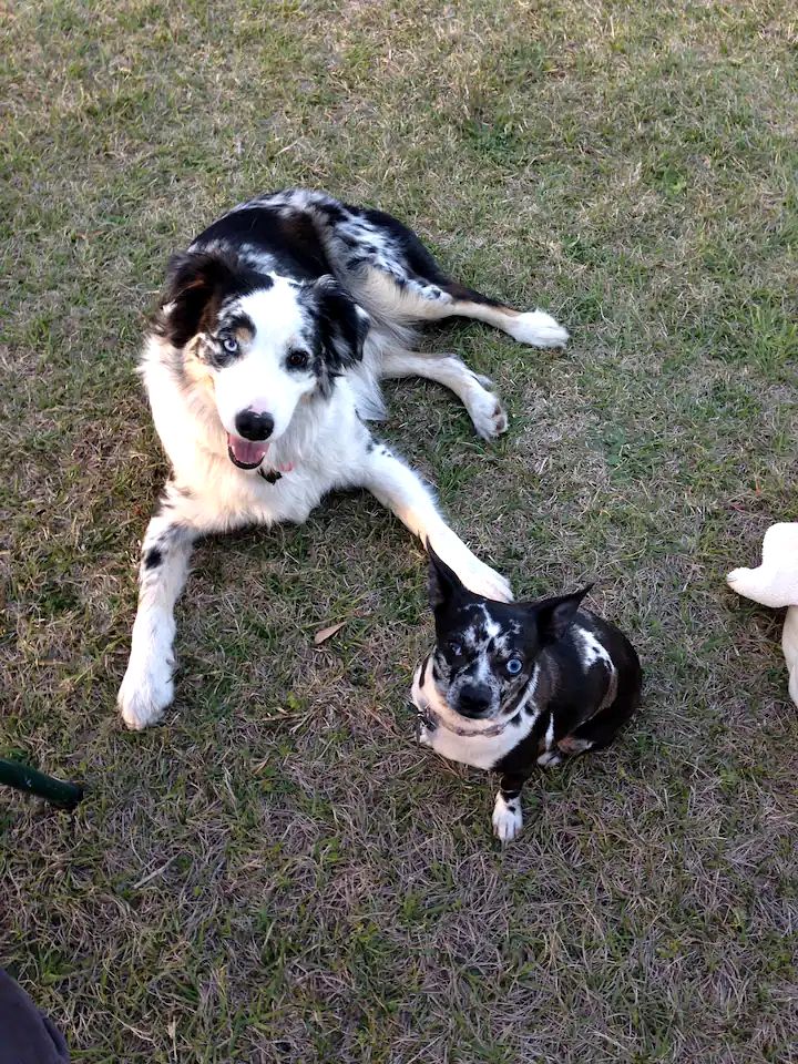 The Unforgettable La Sirata and Casita Together