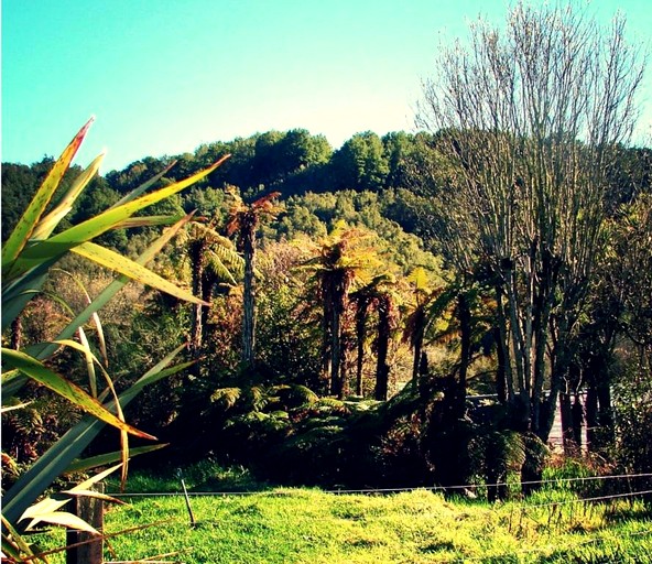 Family Room Rental in a Rustic Lodge near Greymouth, New Zealand | Cabins (Taylorville, South Island, New Zealand)