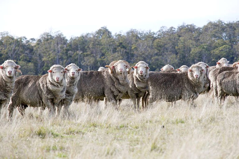 Vacation Rentals (Hobart, Tasmania, Australia)