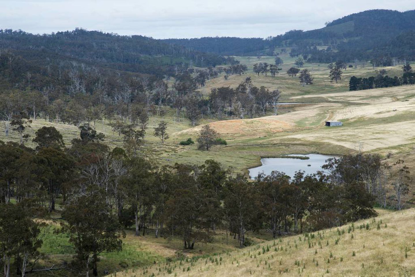 Superb Farm Stay Holiday in the Stunning Region of Derwent Valley, Tasmania