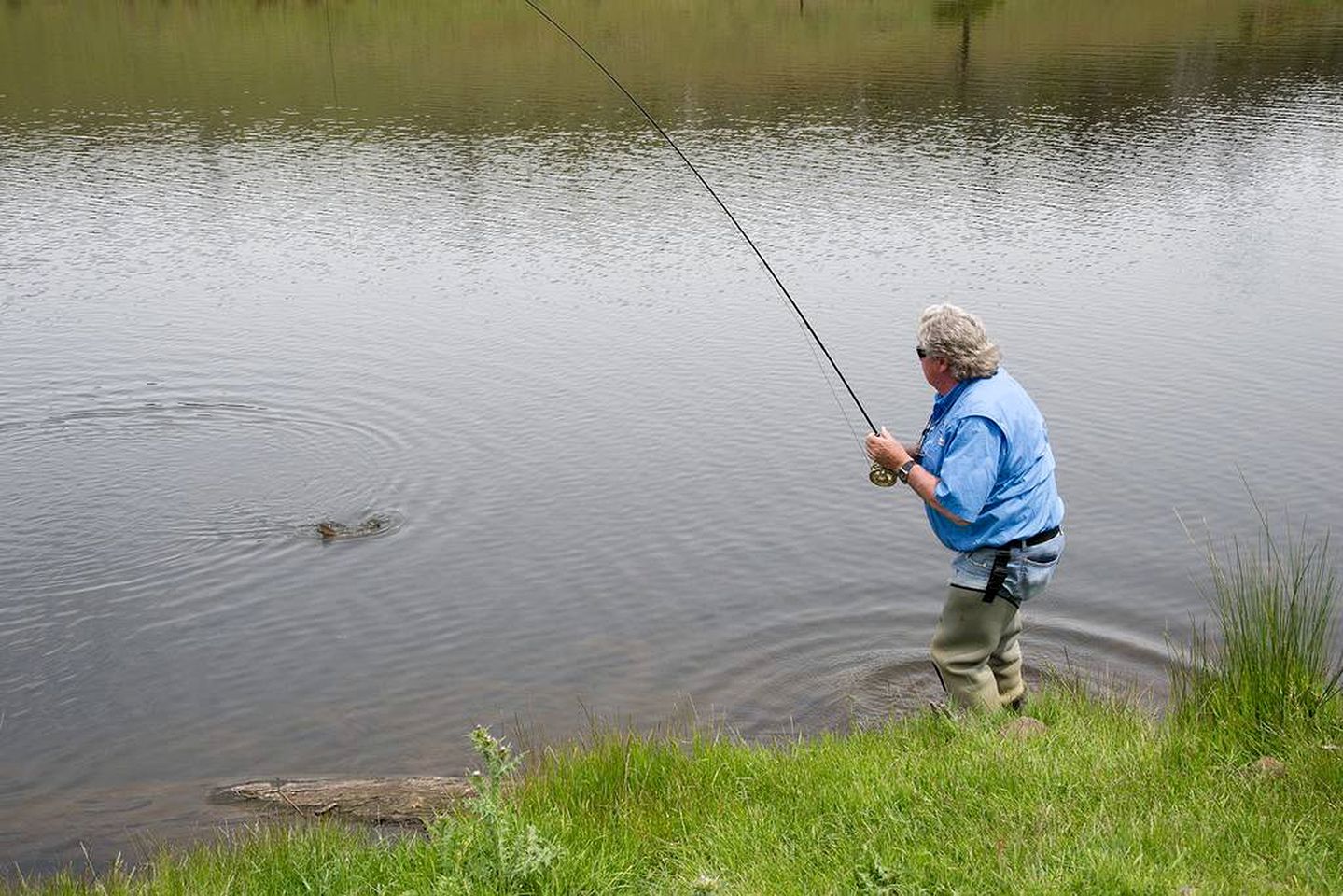 Superb Farm Stay Holiday in the Stunning Region of Derwent Valley, Tasmania
