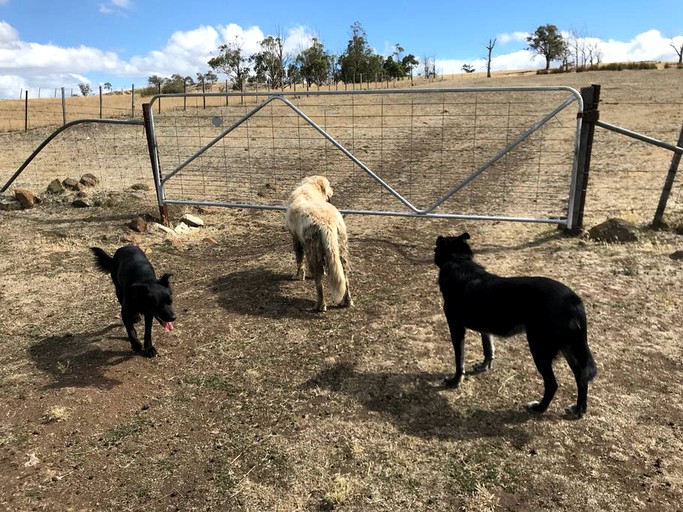 Vacation Rentals (Hobart, Tasmania, Australia)