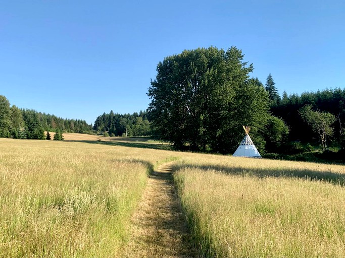 Tipis (Scotts Mills, Oregon, United States of America)