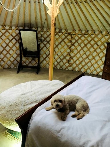 Yurts (United States of America, Twentynine Palms, California)