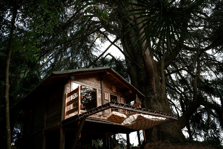Photo of Tree House - Villa Ghiringhelli