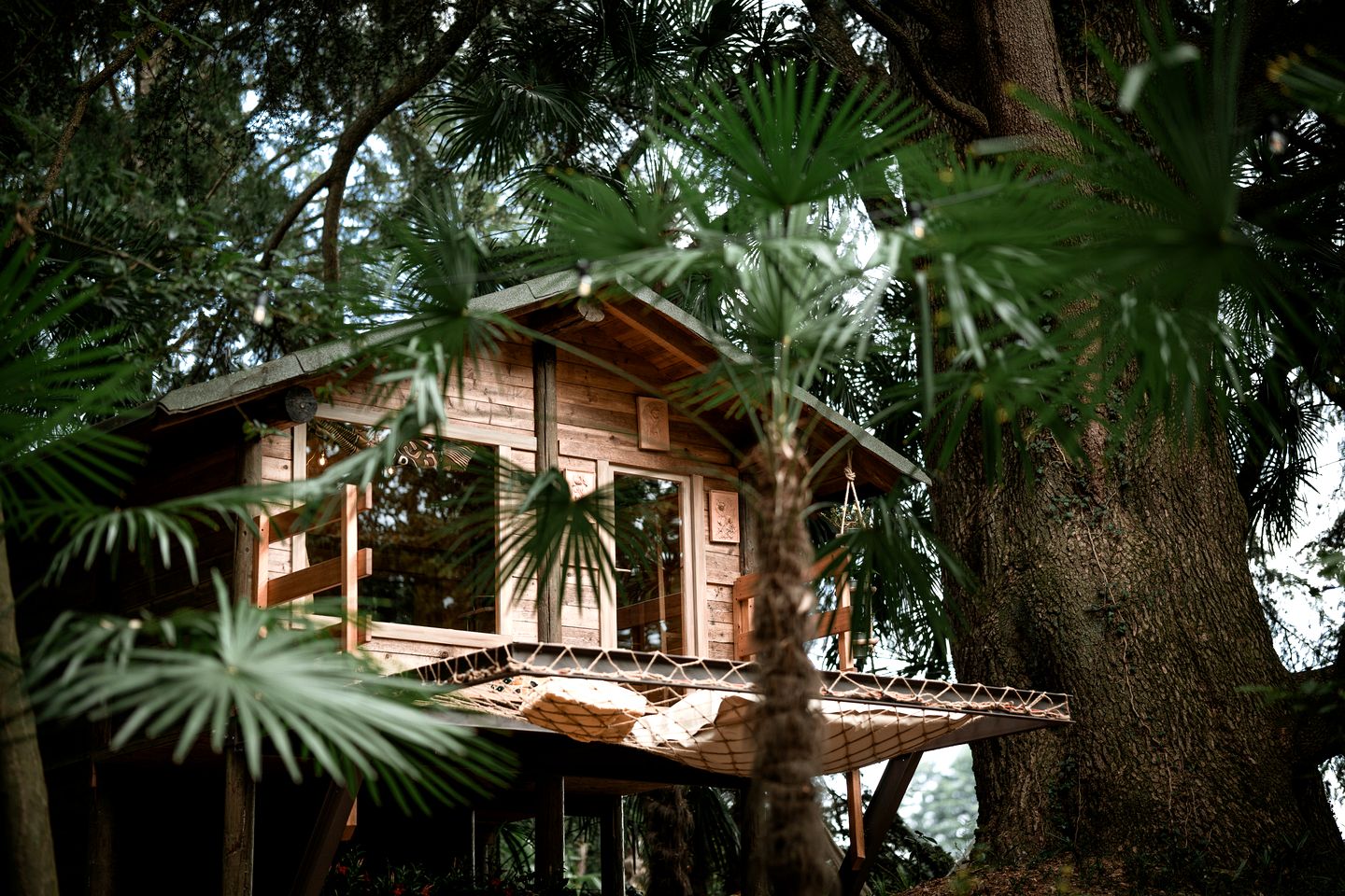 Magical Tree House Incredible for a Couples Retreat in Italy