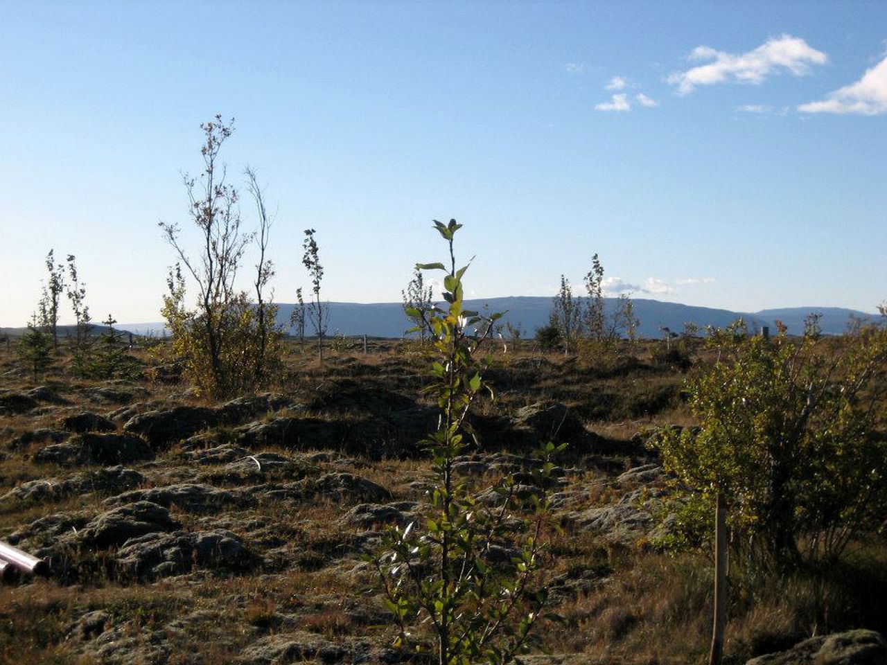 Charming Iceland Holiday Rental with Idyllic Views