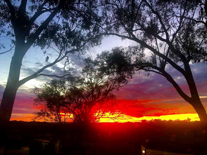 Cottages (Coonabarabran, New South Wales, Australia)