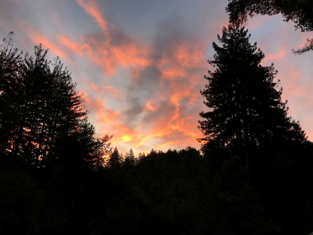 Charming Cabin Rental with a Hot Tub Ideal for a Weekend Getaway from San Francisco