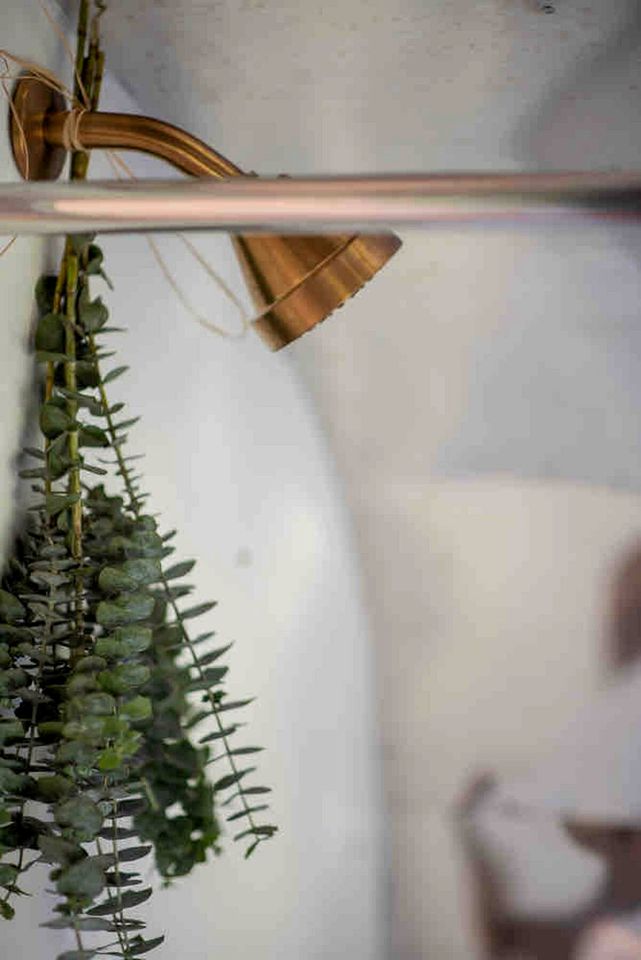 Snug Airstream for Weekend Getaways from Toronto