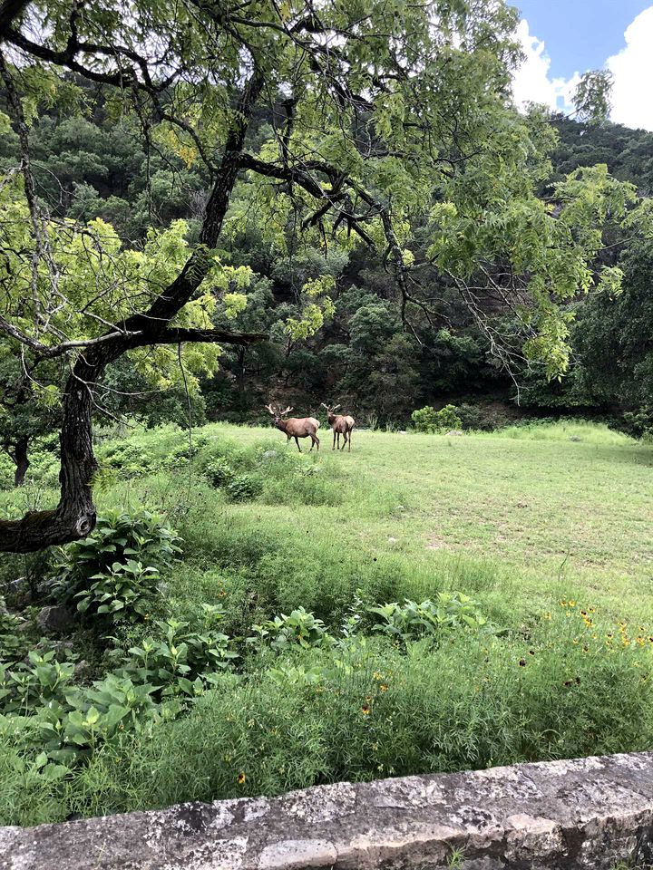 Beautiful Vintage Cabin Rental for a Weekend Getaway in Texas Hill Country