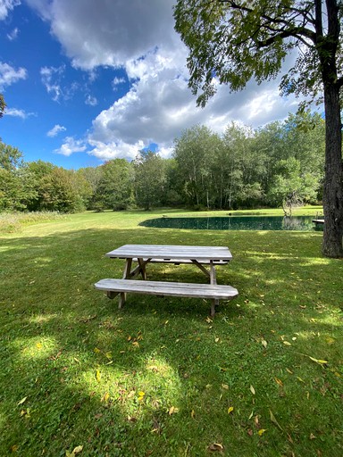 Cabins (Honeoye, New York, United States of America)
