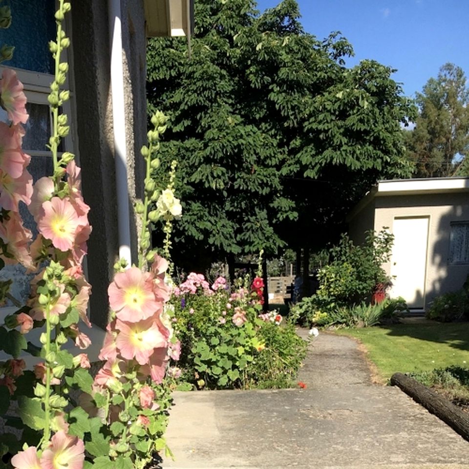 Unique Garden Cottage near the Otago Central Rail Trail on South Island, New Zealand