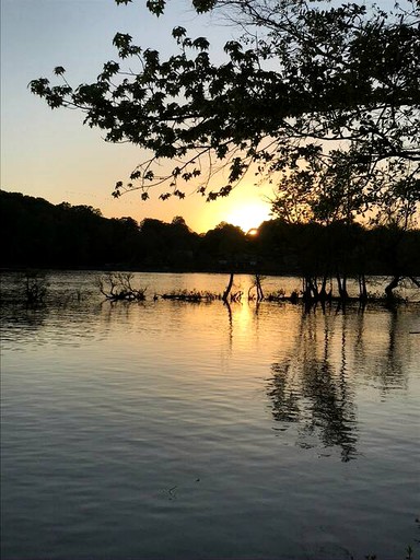 Cottages (United States of America, Charlotte, North Carolina)