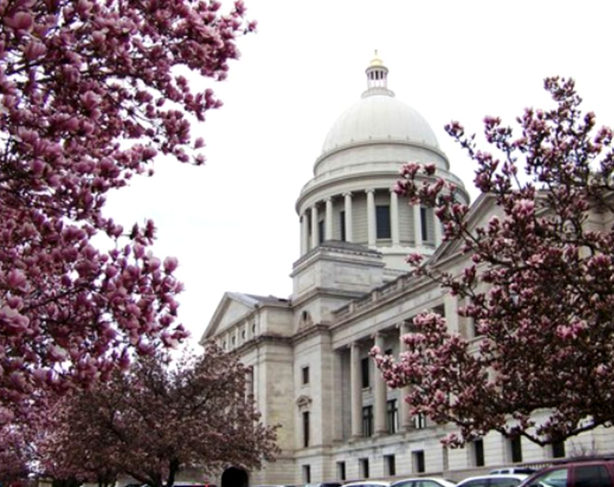 Peaceful Retreat with Expansive Yards & Cozy Outdoor Spaces in Alexander, Arkansas