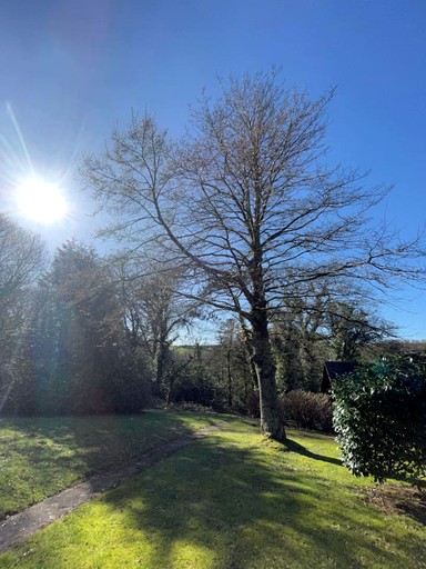 Cabins (United Kingdom, Helstone, England)
