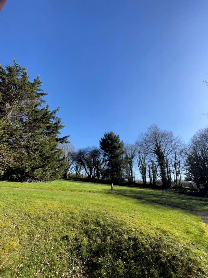 Serene 3-Bedroom Scandinavian Lodge in Camelford, Cornwall