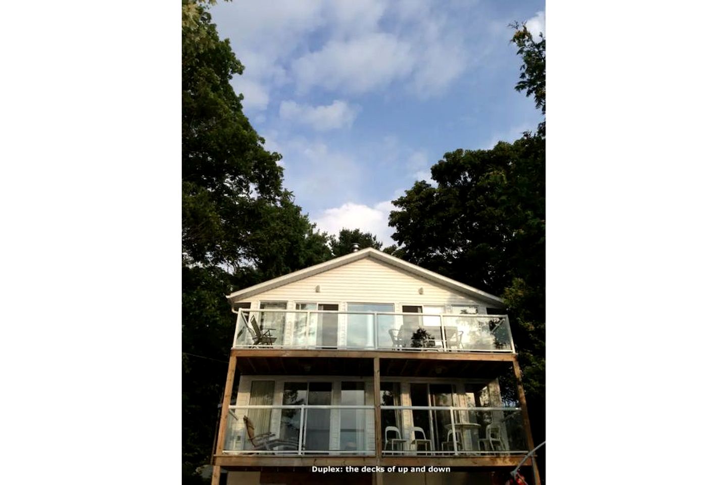Three Pet-Friendly Cottages Perfect for Outdoor Adventures in Ontario