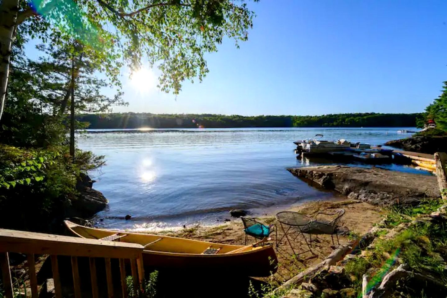 Three Pet-Friendly Cottages Perfect for Outdoor Adventures in Ontario