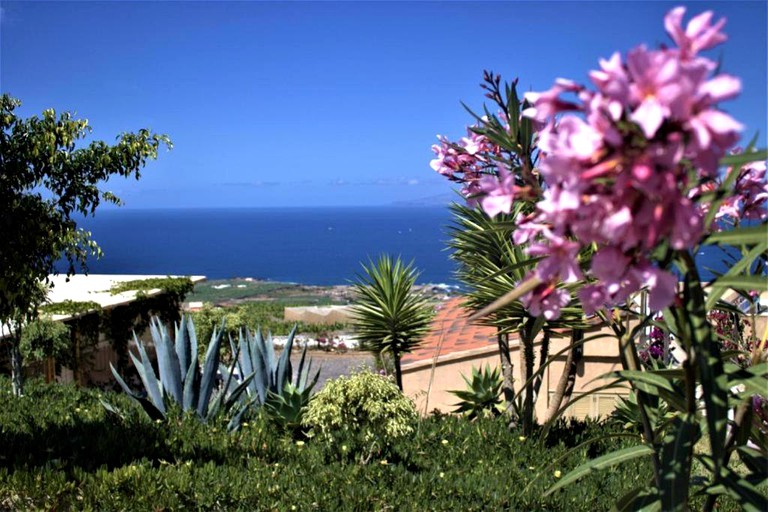 Tented Cabins (Acalá, Tenerife, Spain)