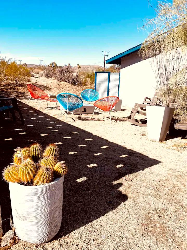 The Joshua Tree Desert Duo in California
