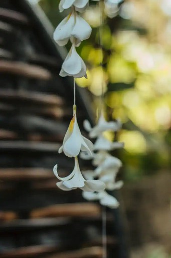 Tree Houses (Denpasar, Bali, Indonesia)