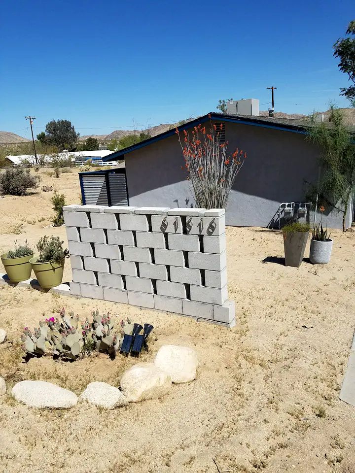 The Joshua Tree Desert Duo in California
