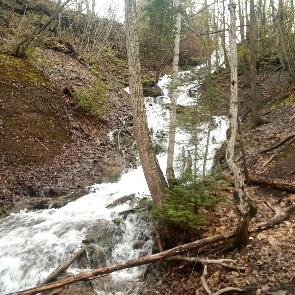 Cozy Room Rental in The Blue Mountains Ideal for a Couples Getaway in Ontario