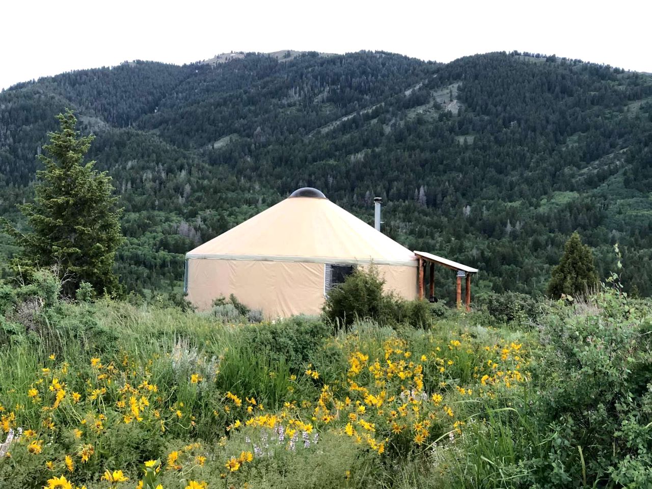 Amazing Yurt in Idaho for Camping Near Caribou National Forest