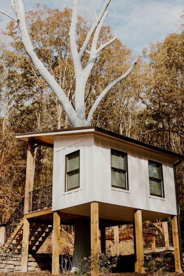 Pet-Friendly Tree House Great for a Relaxing Escape in Alabama