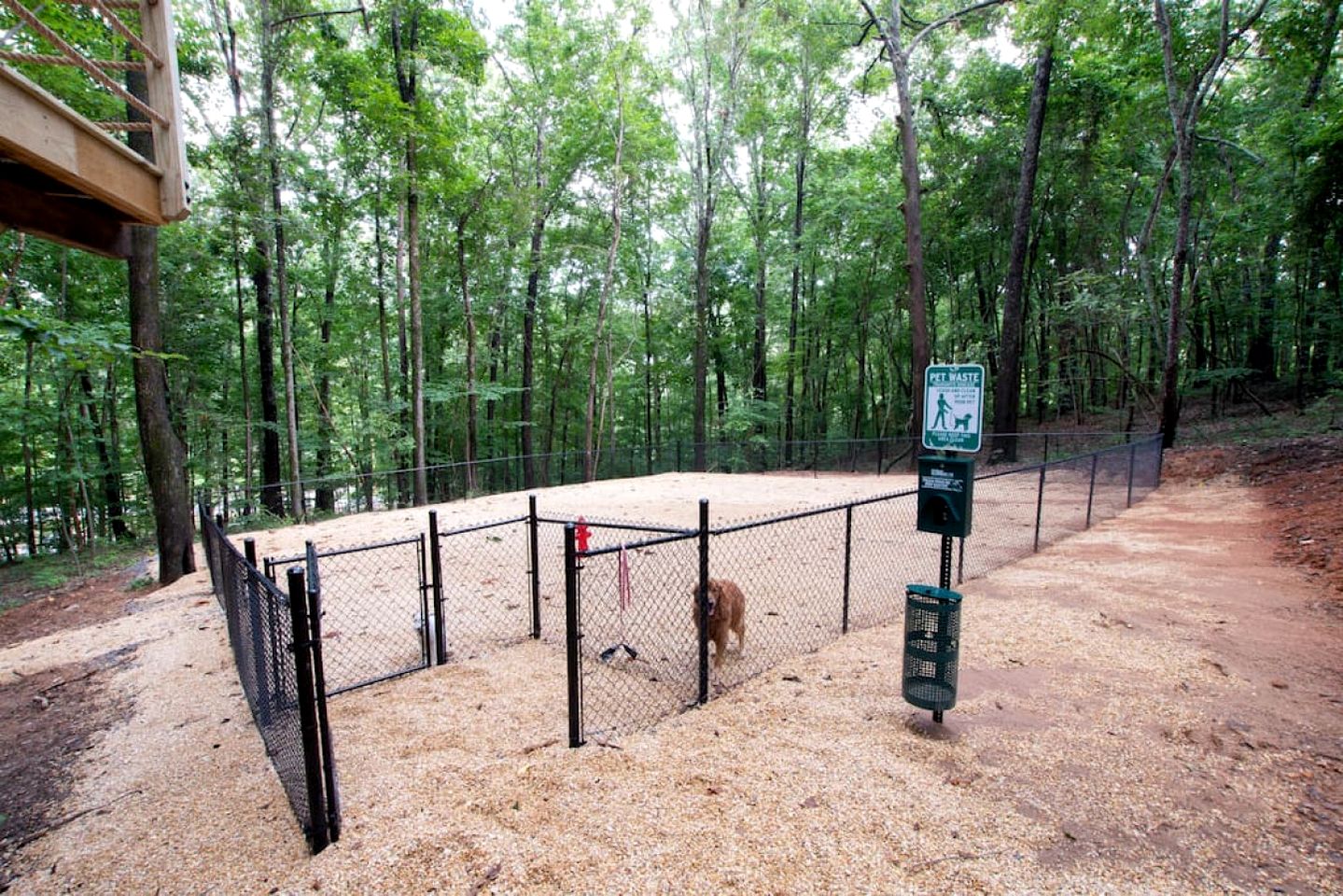 Pet-Friendly Tree House Great for a Relaxing Escape in Alabama