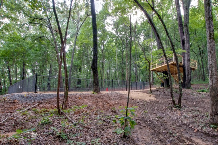Tree Houses (United States of America, Scottsboro, Alabama)