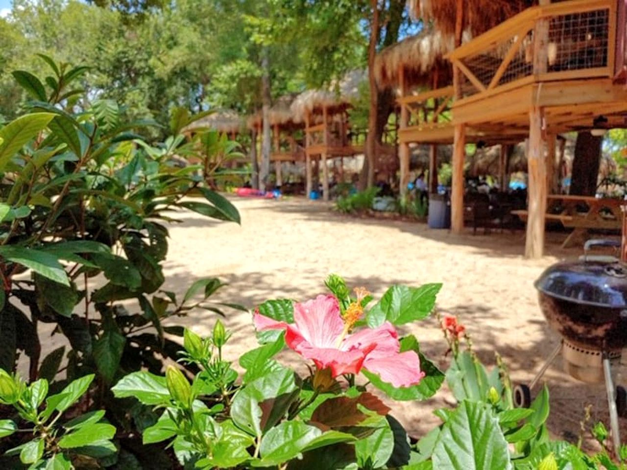 Safari Tent Nature Escape on the San Marcos River: Perfect for a Glamping Vacation near Kingsbury, Texas
