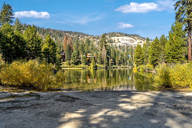 Cabins (United States of America, Bear Valley , California)