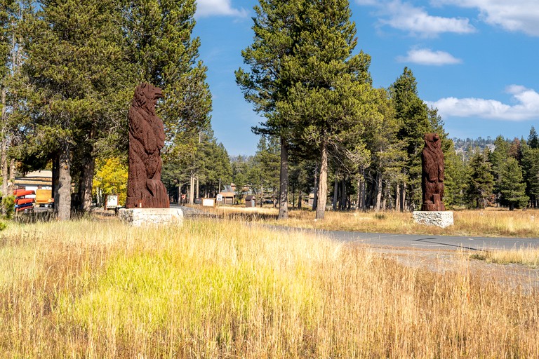 Cabins (United States of America, Bear Valley , California)