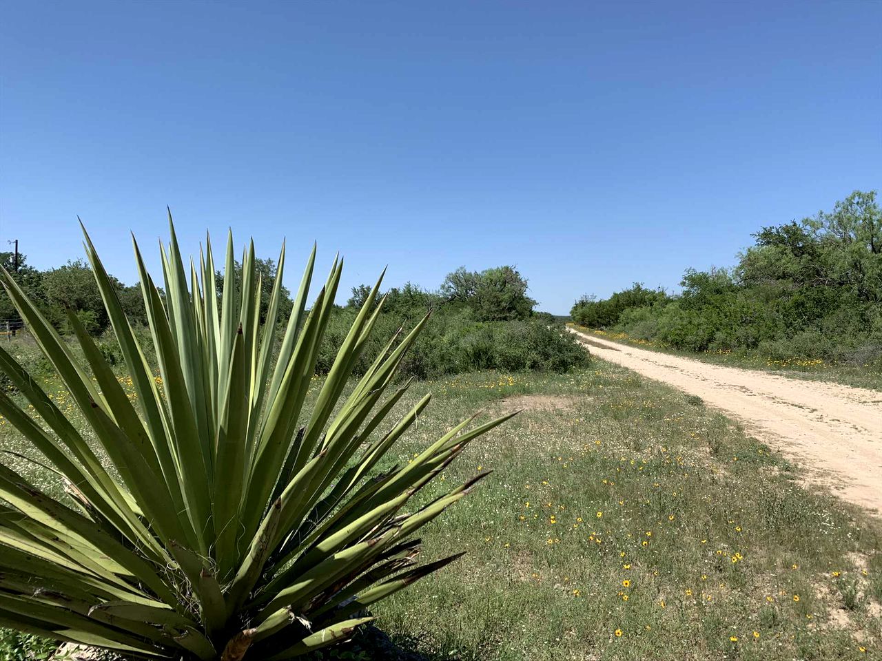 Mighty Oaks Retreat, Valdina Farms, D'Hanis, TX